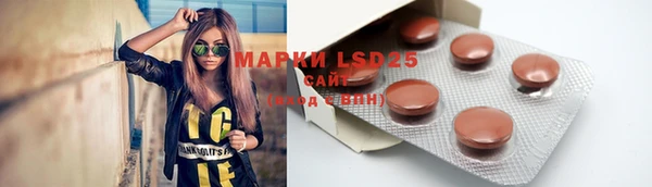 гидропоника Зеленодольск