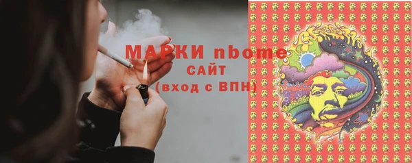 твердый Инсар