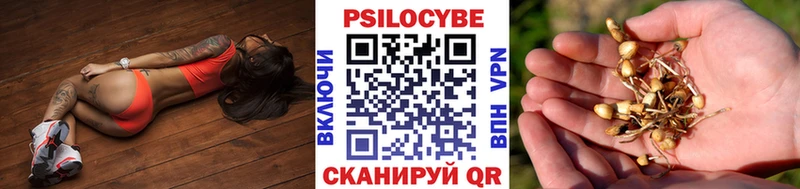 Псилоцибиновые грибы мицелий Черкесск